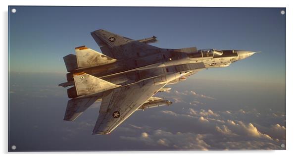 Legendary F14 Tomcat  Acrylic by CC Designs