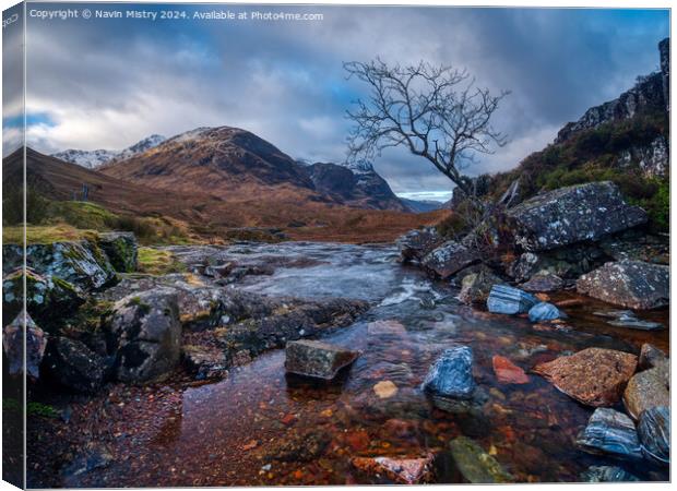 A view of the a burn and lone tree Glen Coe Scotla Canvas Print by Navin Mistry