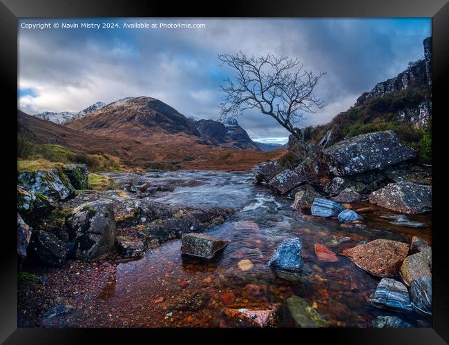 A view of the a burn and lone tree Glen Coe Scotla Framed Print by Navin Mistry