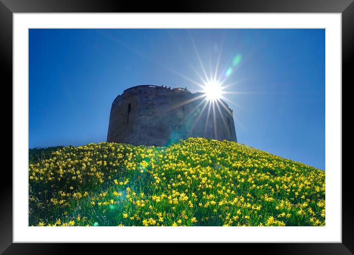Cliffords Tower Daffodils  Framed Mounted Print by Alison Chambers