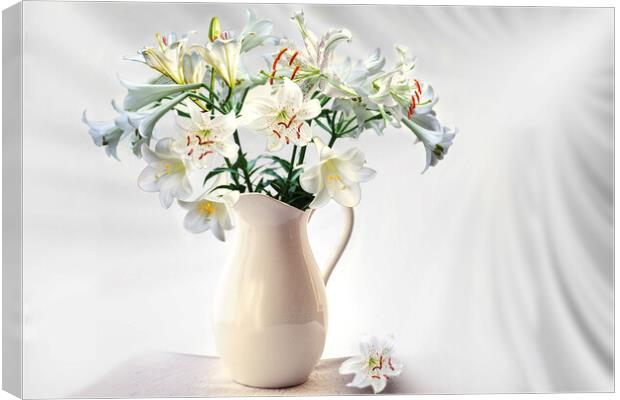 Lilies Canvas Print by Alison Chambers