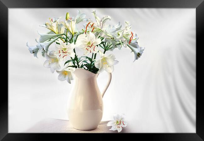 Lilies Framed Print by Alison Chambers