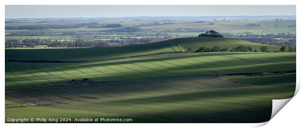 Vale of Pewsey Print by Philip King