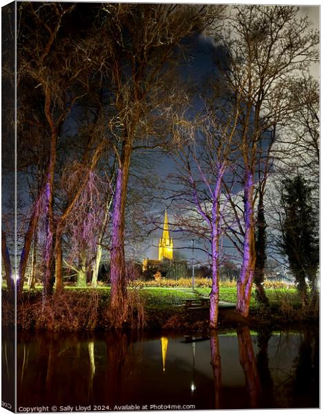 Norwich Cathedral at night through lilac trees Canvas Print by Sally Lloyd