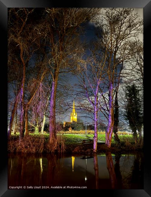 Norwich Cathedral at night through lilac trees Framed Print by Sally Lloyd
