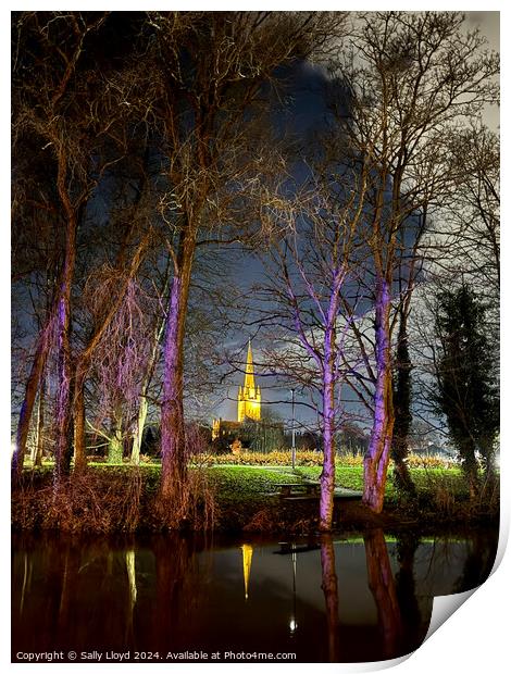 Norwich Cathedral at night through lilac trees Print by Sally Lloyd