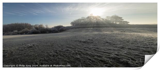 Wittenham Clumps in Winter Print by Philip King