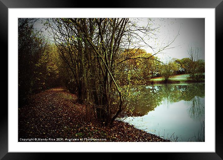 Path beside lake Framed Mounted Print by Mandy Rice