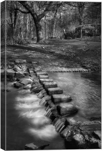 Porter Brook Stepping Stones and Falls  Canvas Print by Darren Galpin