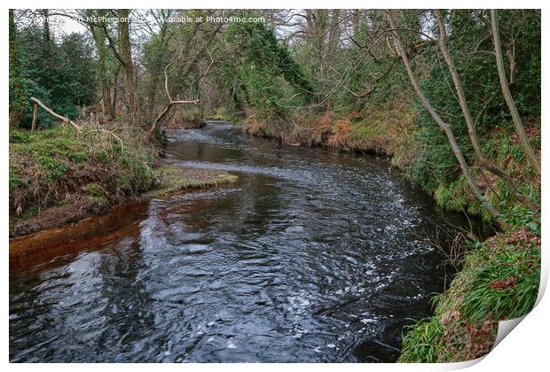 Down by the River Print by Tom McPherson