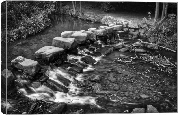 Endcliffe Park Stepping Stones and Falls           Canvas Print by Darren Galpin