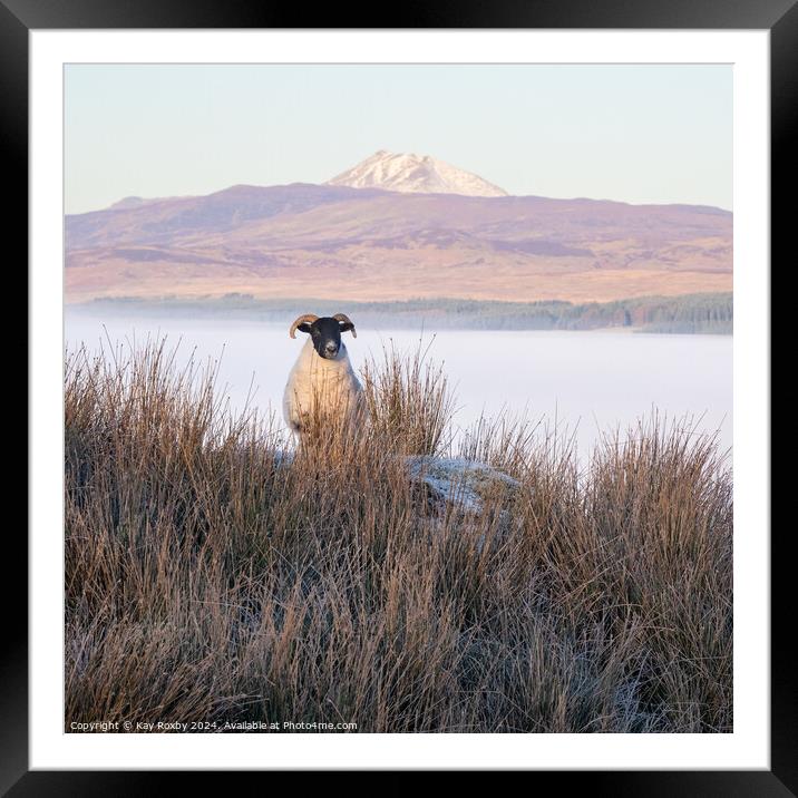 Ben Lomond cloud inversion Framed Mounted Print by Kay Roxby