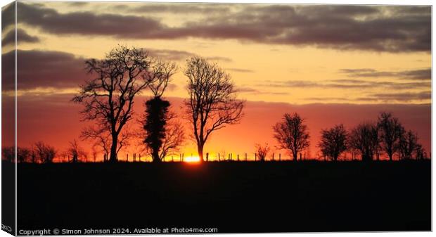 A tree with a sunset in the background Canvas Print by Simon Johnson