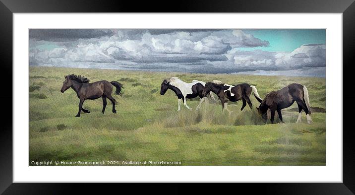 Wild horses on Dartmoor  Framed Mounted Print by Horace Goodenough