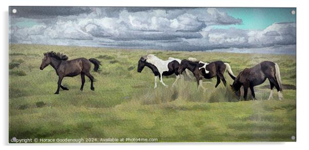 Wild horses on Dartmoor  Acrylic by Horace Goodenough
