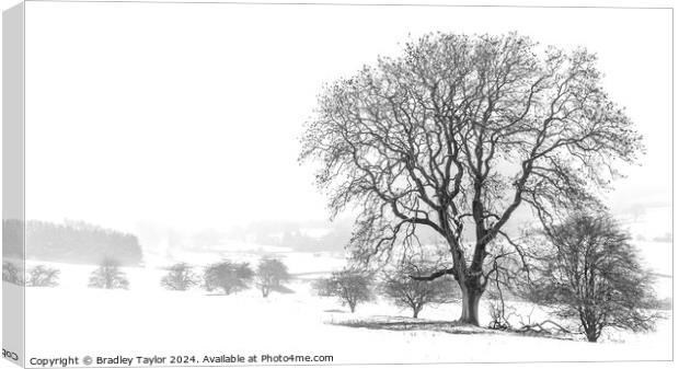 Winter on The Chevin, West Yorkshire Canvas Print by Bradley Taylor