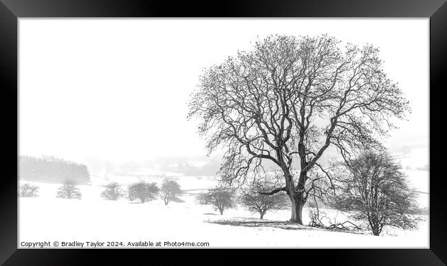 Winter on The Chevin, West Yorkshire Framed Print by Bradley Taylor