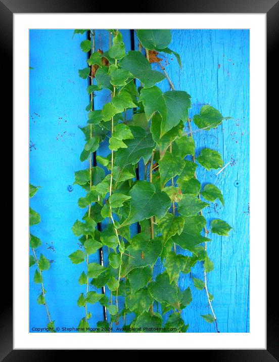 Plant leaves Framed Mounted Print by Stephanie Moore
