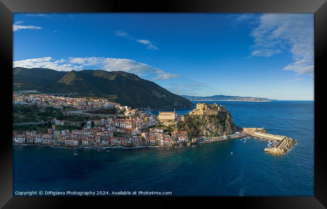 Scilla Framed Print by DiFigiano Photography