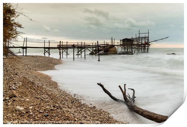 Trabocco Punto le Morge Print by DiFigiano Photography