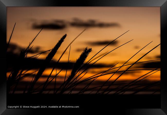 Sunset Through The Dunes Framed Print by Steve Huggett
