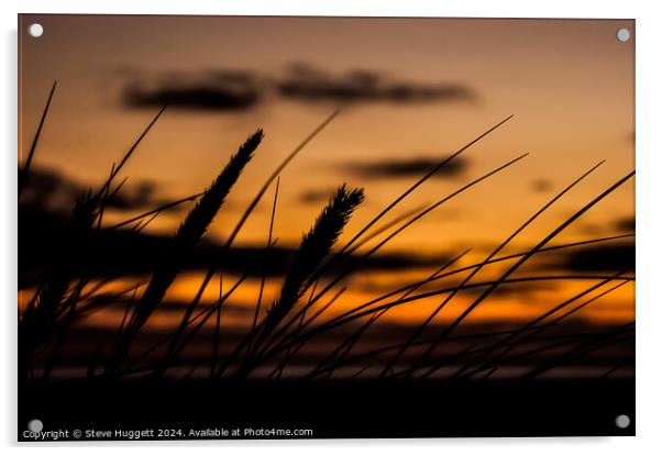 Sunset Through The Dunes Acrylic by Steve Huggett