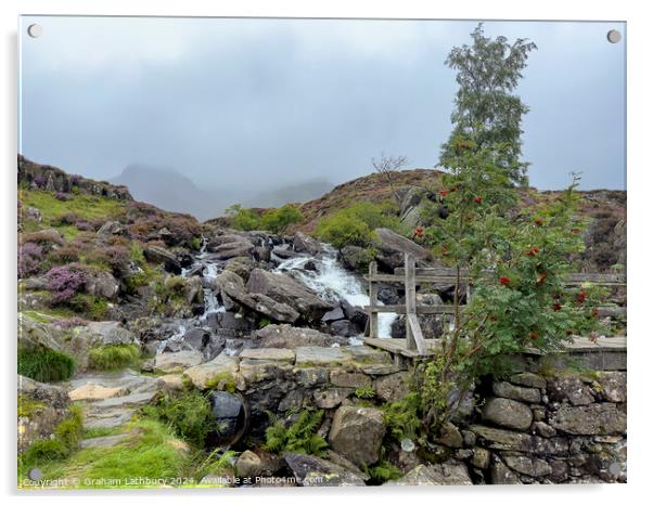 Snowdonia Footpath Acrylic by Graham Lathbury