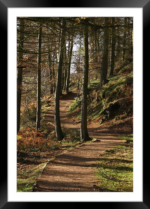 Autumn Walk Framed Mounted Print by malcolm fish