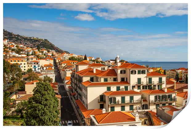 Roof Tops of Funchal Print by Roger Green