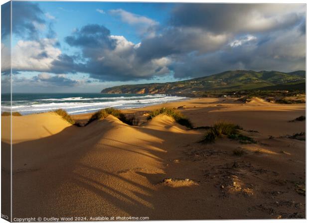 Guincho stormy 1 Canvas Print by Dudley Wood