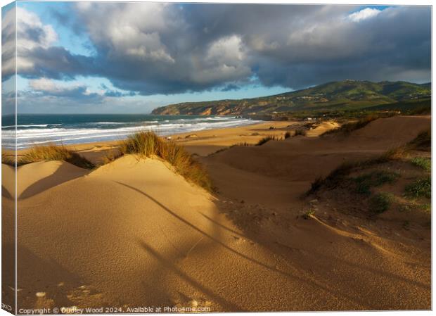 Guincho stormy 2 Canvas Print by Dudley Wood
