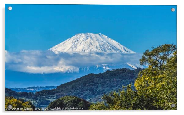 Mount Fuji Hiratsuka Kanagawa Japan Acrylic by William Perry