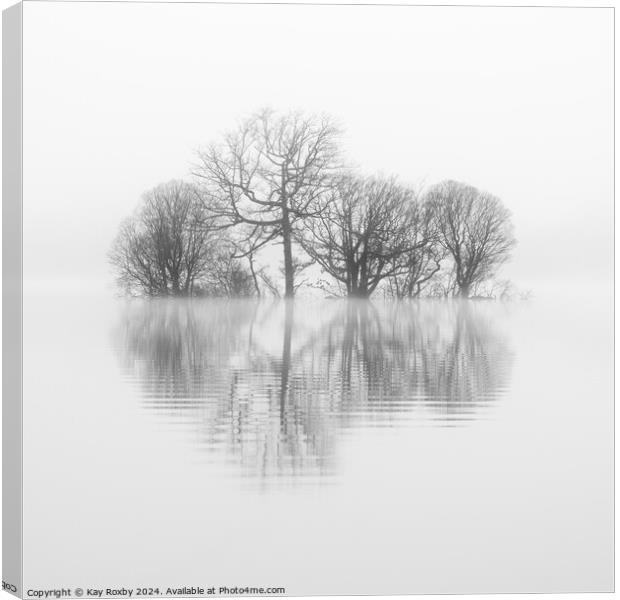 Misty reflections Loch Lomond Canvas Print by Kay Roxby