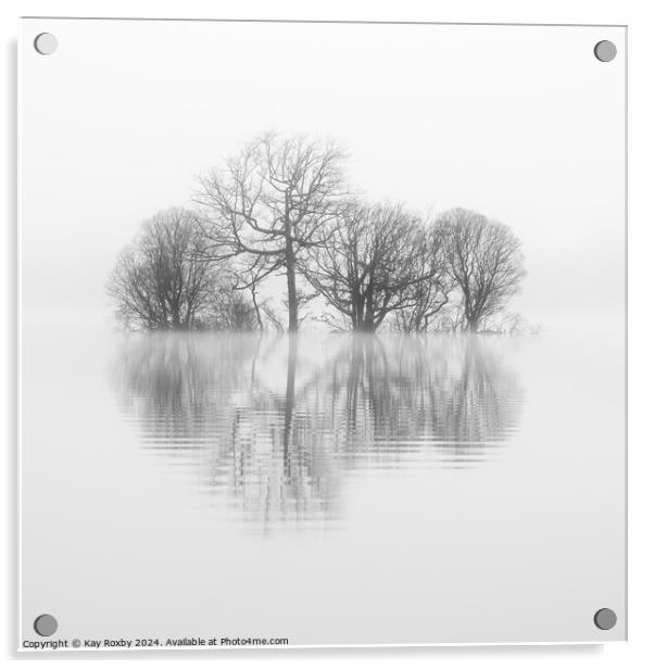 Misty reflections Loch Lomond Acrylic by Kay Roxby