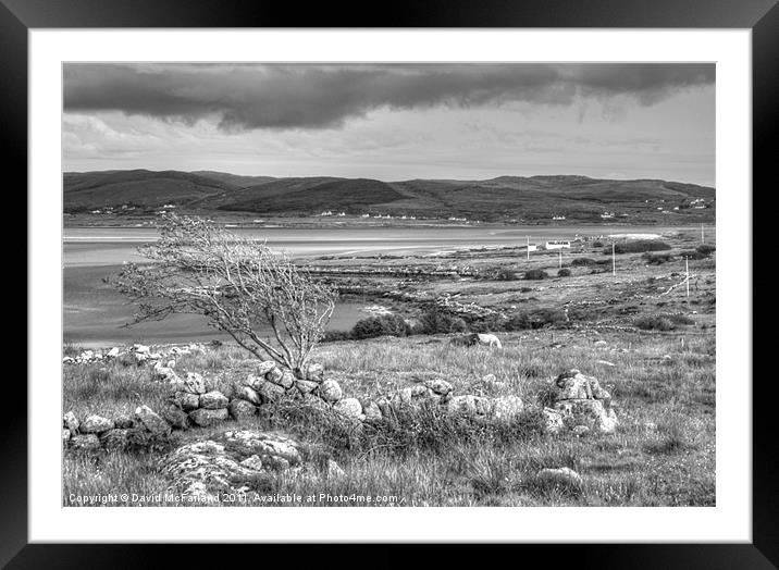Windswept Donegal Framed Mounted Print by David McFarland