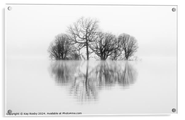 Misty reflections Loch Lomond Acrylic by Kay Roxby