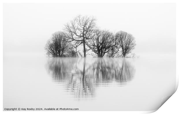 Misty reflections Loch Lomond Print by Kay Roxby