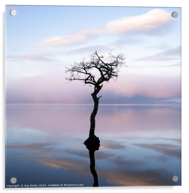Lone tree Milarrochy Bay Acrylic by Kay Roxby