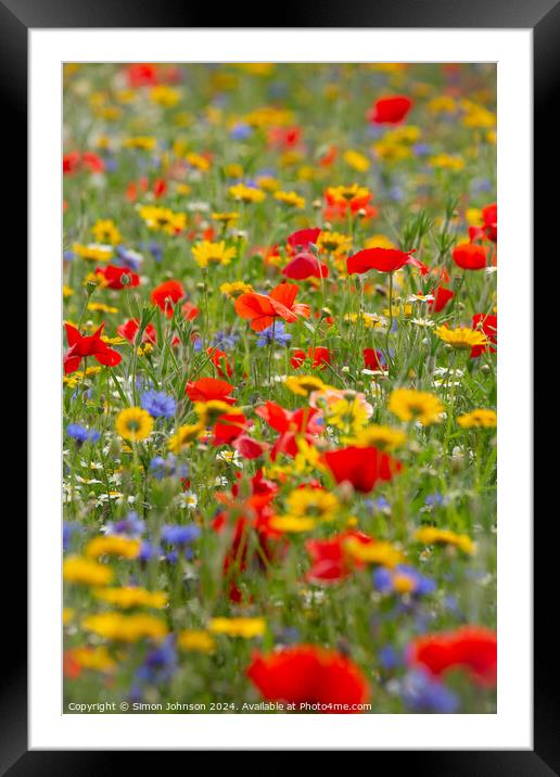 Meadow Flowers  Framed Mounted Print by Simon Johnson