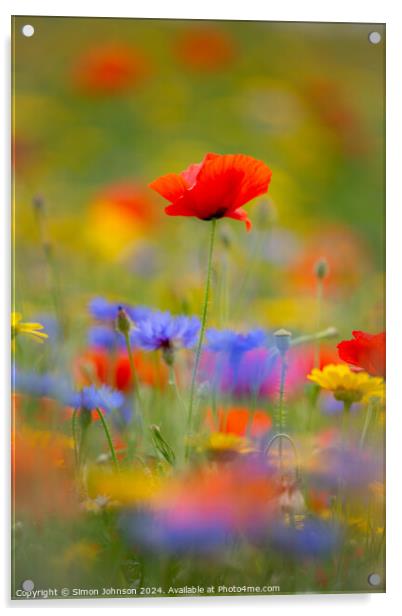 Poppy and meadow flowers  Acrylic by Simon Johnson