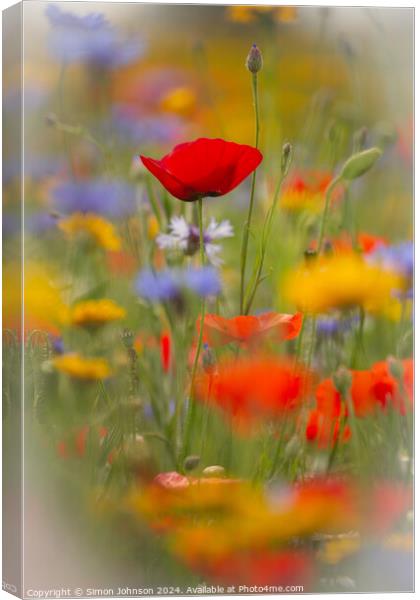 Poppy and meadow flowers  Canvas Print by Simon Johnson