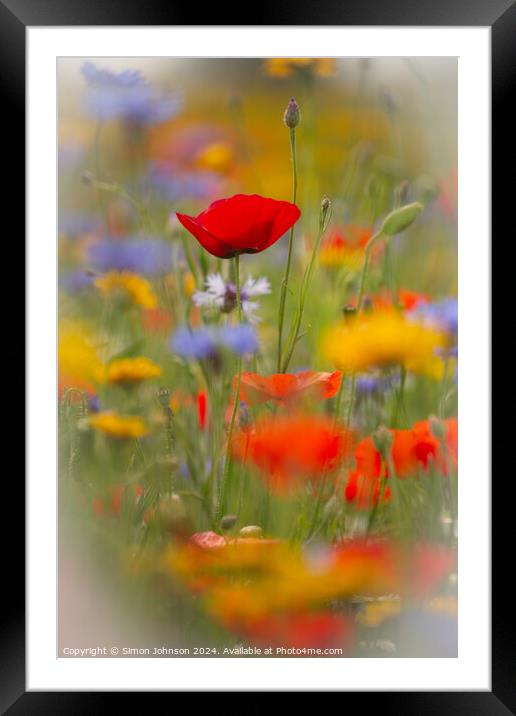 Poppy and meadow flowers  Framed Mounted Print by Simon Johnson