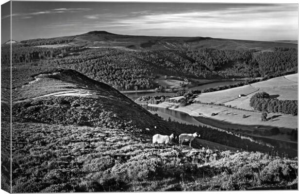 Ladybower Lookout   Canvas Print by Darren Galpin