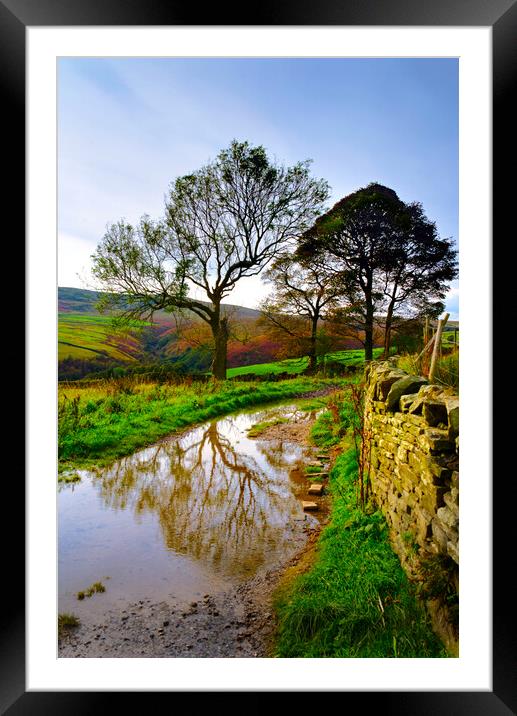 Holme Valley Tree Reflection  Framed Mounted Print by Alison Chambers