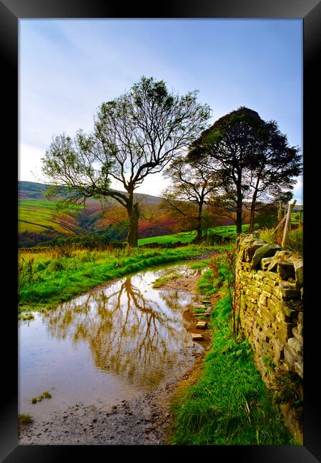 Holme Valley Tree Reflection  Framed Print by Alison Chambers
