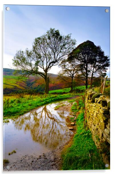 Holme Valley Tree Reflection  Acrylic by Alison Chambers