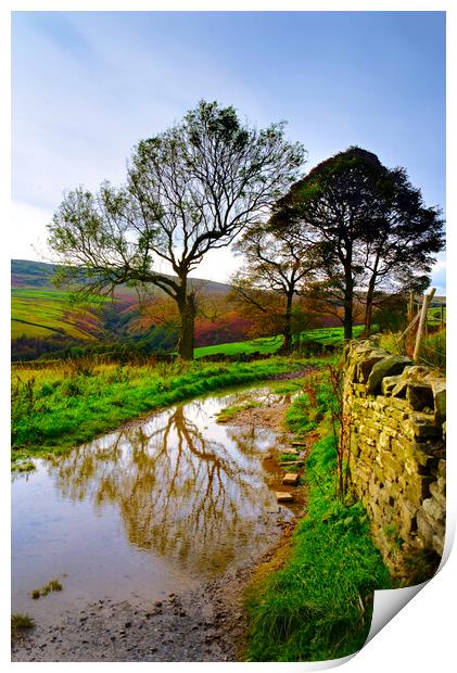 Holme Valley Tree Reflection  Print by Alison Chambers