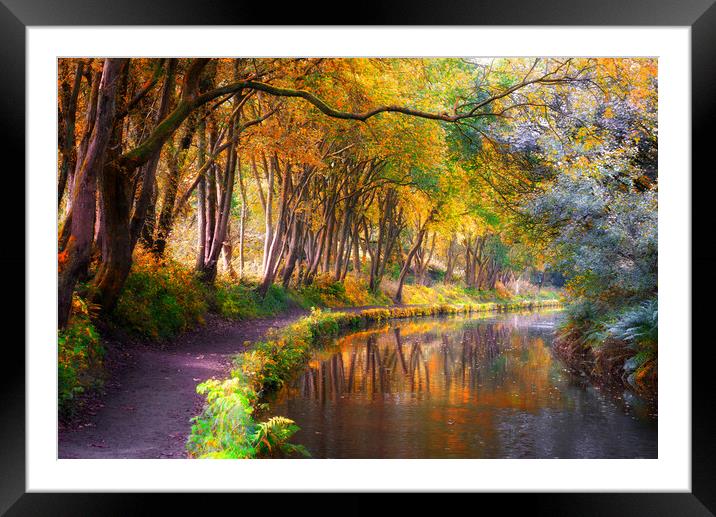 Huddersfield Narrow Canal in Autumn  Framed Mounted Print by Alison Chambers