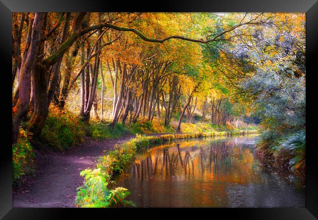 Huddersfield Narrow Canal in Autumn  Framed Print by Alison Chambers