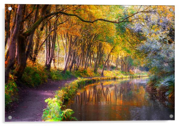 Huddersfield Narrow Canal in Autumn  Acrylic by Alison Chambers